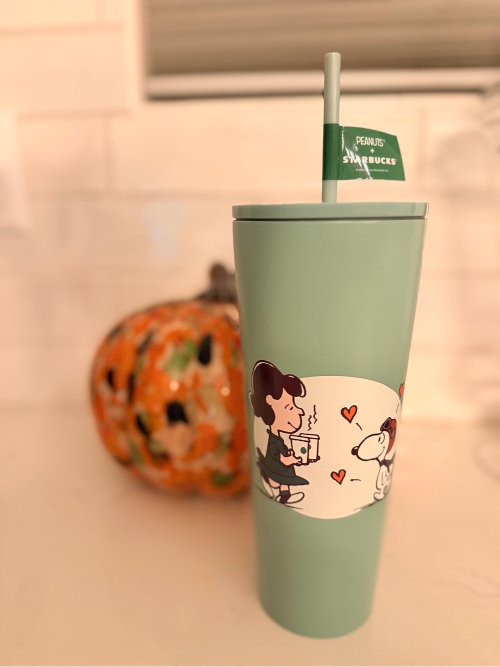 Drink Tumbler with Straw